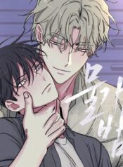 v2-1bd9ea289c4712eae6ea580d651d8711_720w